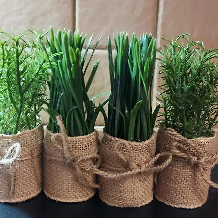 Lägenhet The Spacious Comfy In The Heart Of Blloku Tirana