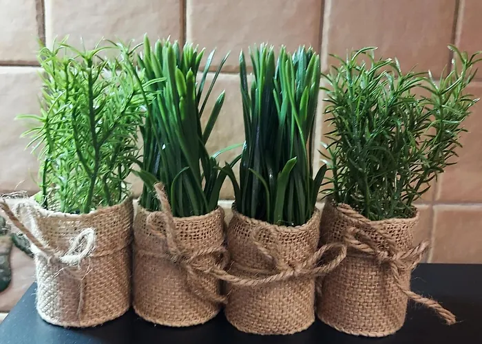 公寓 The Spacious Comfy In The Heart Of Blloku 地拉那